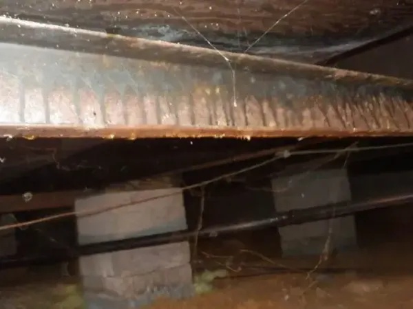 Standing water under the floor framing of a flooded crawl space